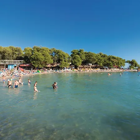 7 Bedroom Awesome In *